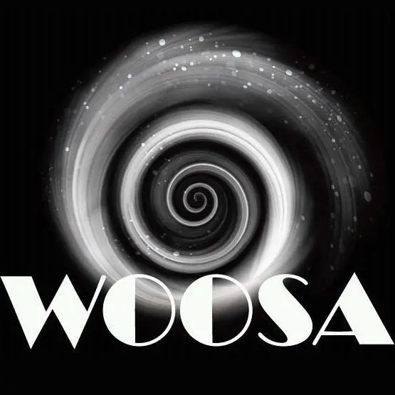 WOOSA music lounge bar
