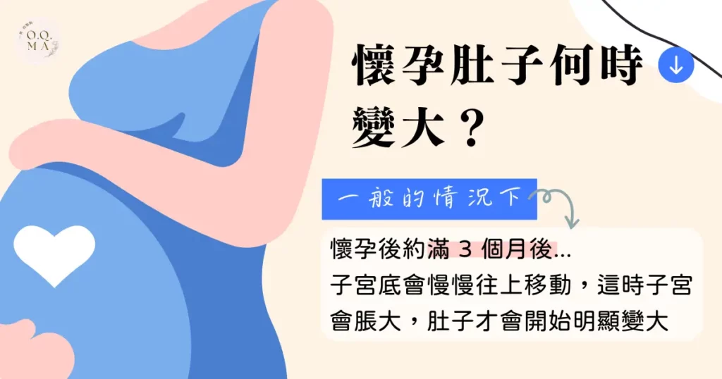 懷孕肚子大哪裡?各個階段都不同!懷孕肚子大小可以這樣算! 1 懷孕肚子何時變大?